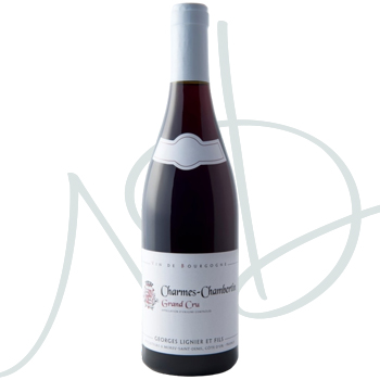 ND-IMG_BOURGOGNE-GL_CH-CHAMBERTIN